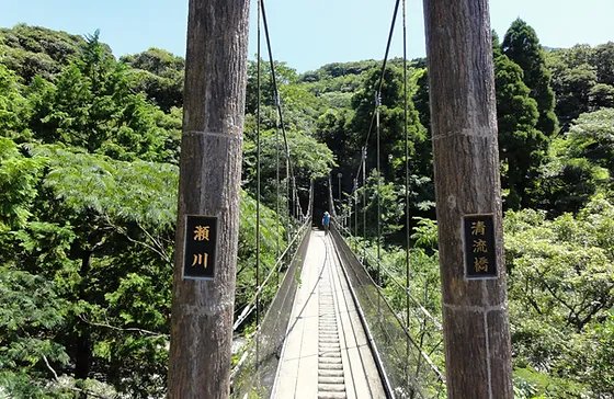 🏞️ 은어가 돌아오는 자연공원(아유모도시시젠코엔) 이미지 6